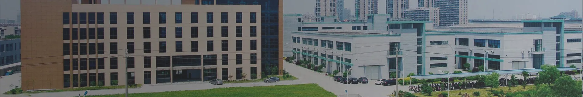 La empresa